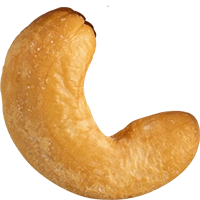 Cashew